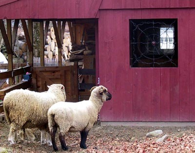 Barn Windows